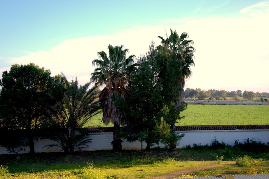 Hotel Palmero Torrepalma Kültér fotó
